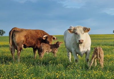 Photo 2 de Earl Ludwig - viande bio en vente directe
