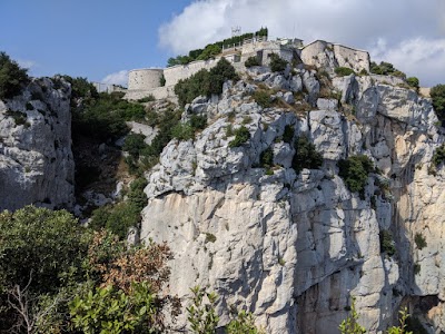 Photo 4 de Tête de Chien