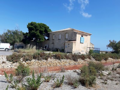 Photo 2 de Aigues-Mortes