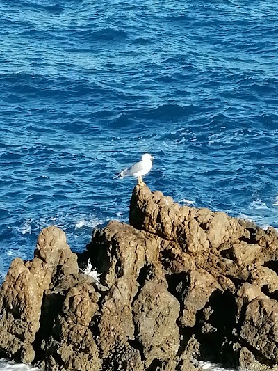 Photo 4 of Cap d'Antibes