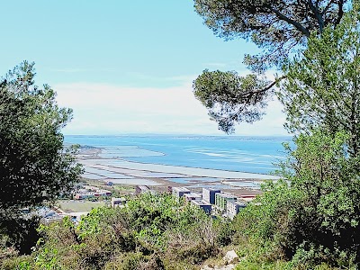 Photo 4 de Mont Saint-Clair