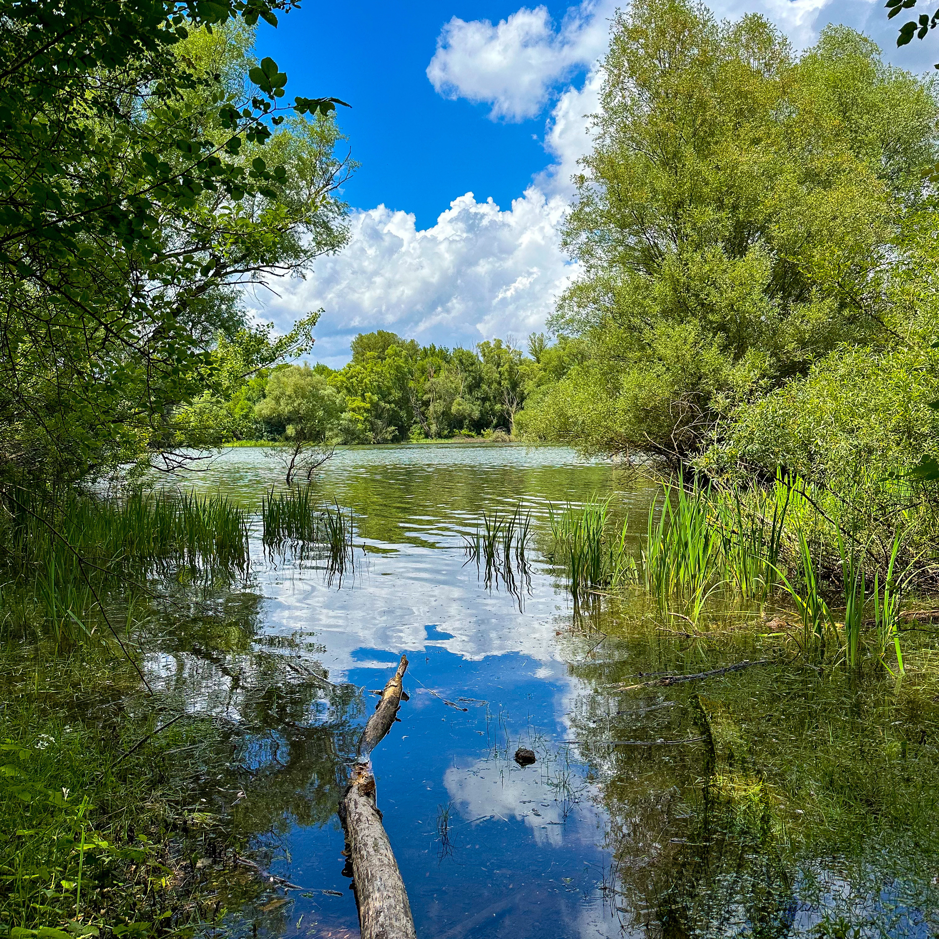 Reserve de Fonduranne