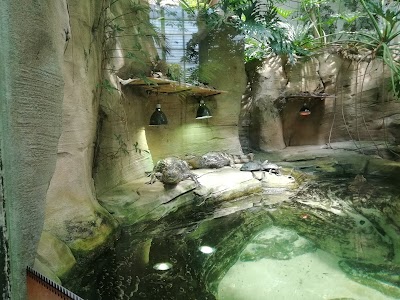 Photo 3 de Serre Amazonienne