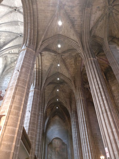 Photo 5 de Narbonne Cathedral