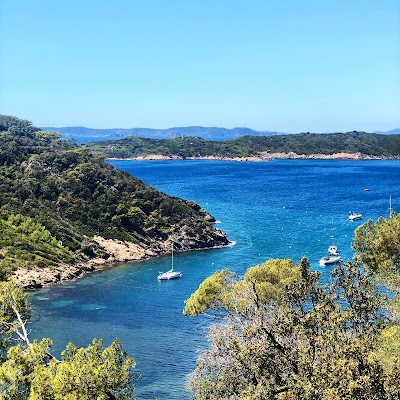 Photo 2 de Port-Cros