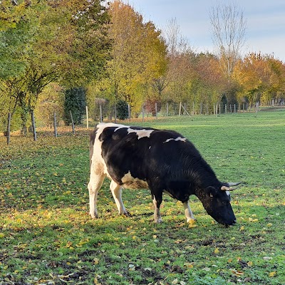 Photo 3 de La Ferme pédagogique de Mantes la Jolie