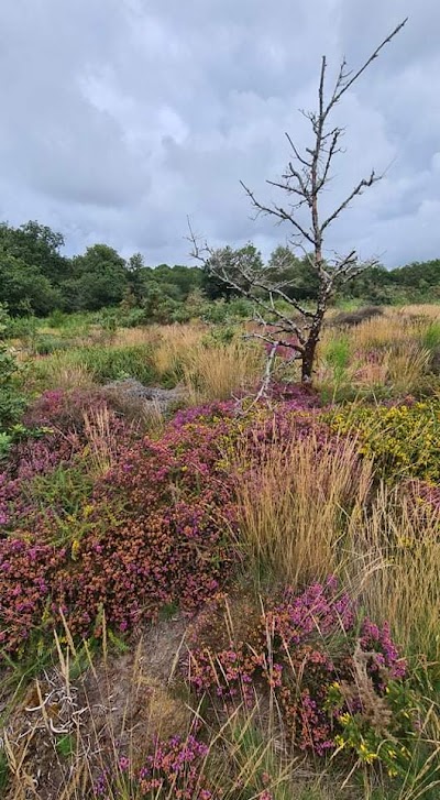 Photo 2 of Espace Naturel Départemental de la Vallée du Canut