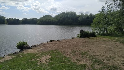 La Sauvagine