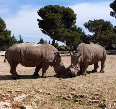 Photo 2 de Parc Animalier de la Barben