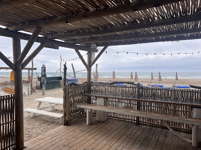 Photo 5 of L'Oyat-Plage