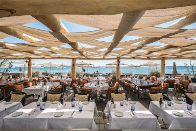 Photo 2 of Byblos Beach, Plage élégante et Restaurant raffiné.