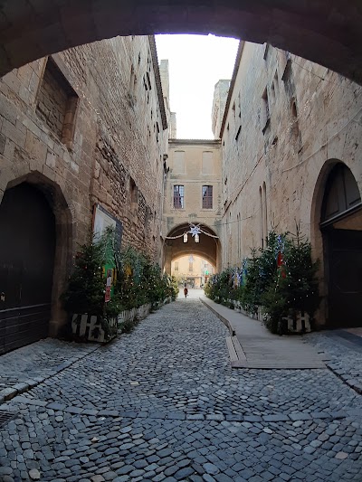 Photo 3 of Palais-Musée des Archevêques, Palais Vieux