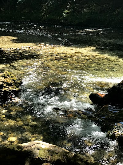 Photo 5 de Parc des Rives du Loup