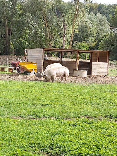 Photo 4 de La Ferme pédagogique de Mantes la Jolie