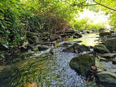 Photo 5 de Bois de la Brasserie