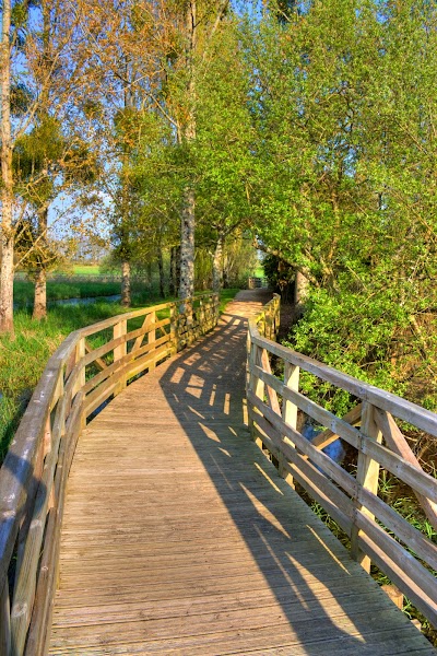 Photo 4 de Lac de Grand-Lieu