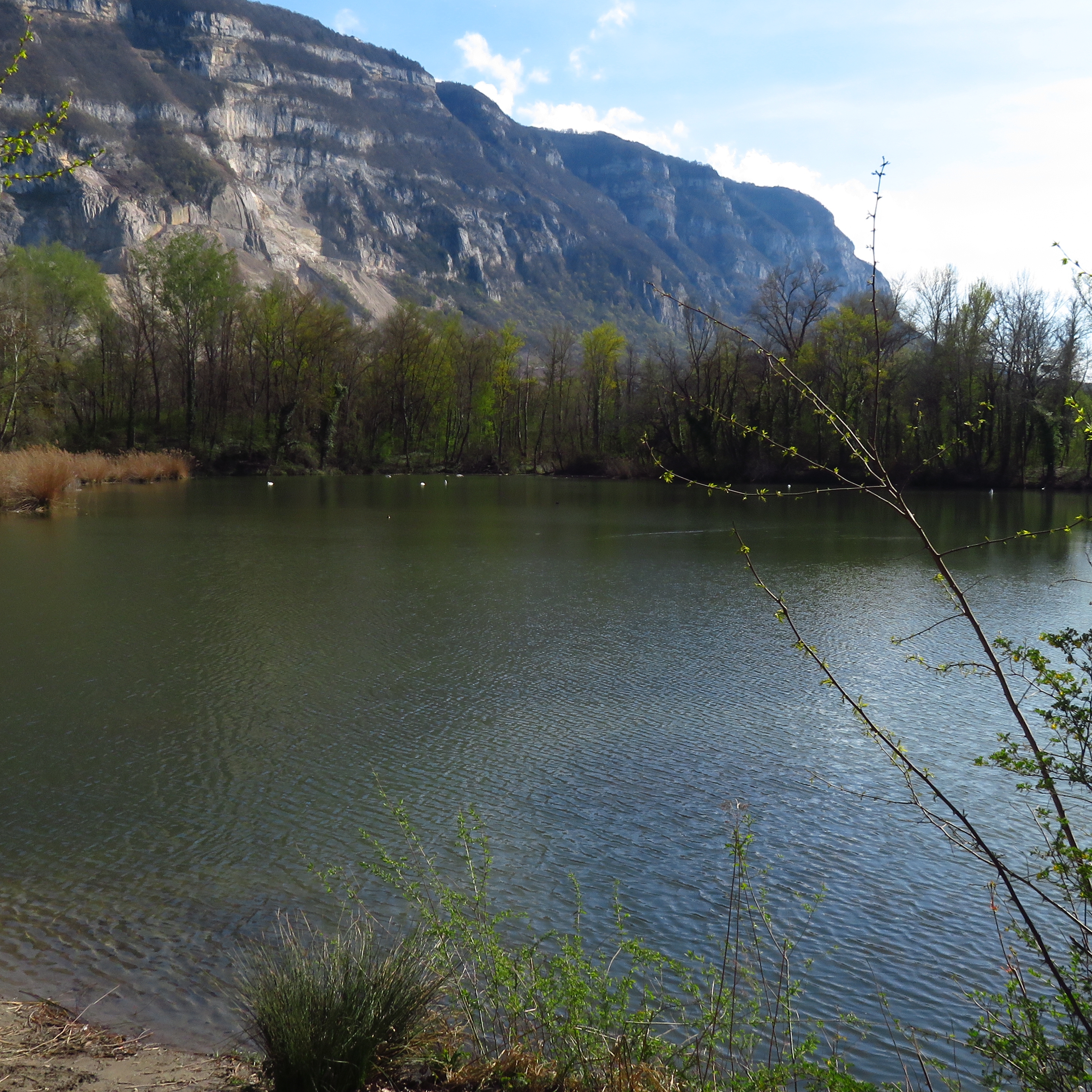 Balade au bord de L'Arve