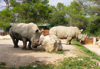 Photo 2 of Zoo de Montpellier