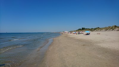 Photo 3 de Plage du Grand Travers