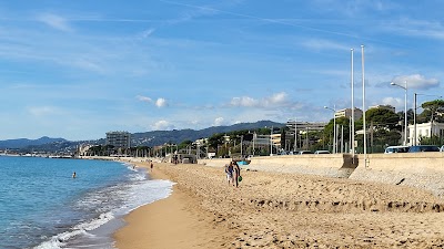 Photo 4 de Plage du Midi