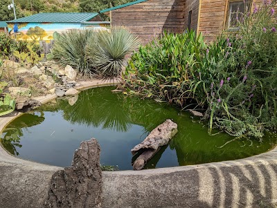 Photo 2 de La Vallée des Tortues