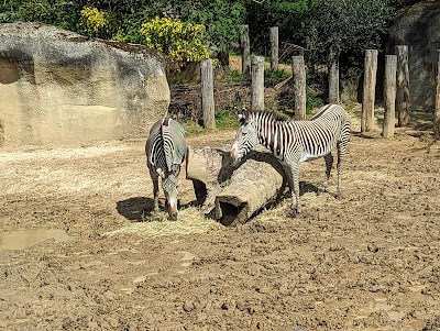 Photo 4 de Parc zoologique de Paris