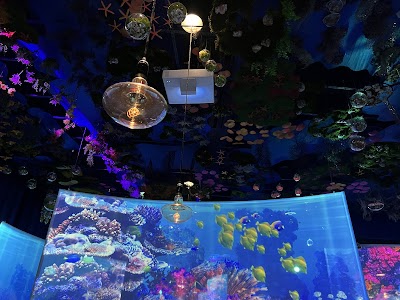Photo 4 of Under The Sea Restaurant - Ephemera