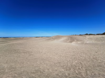 Photo 3 of L'Oyat-Plage