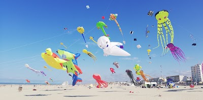 Photo 3 de Plage de Berck