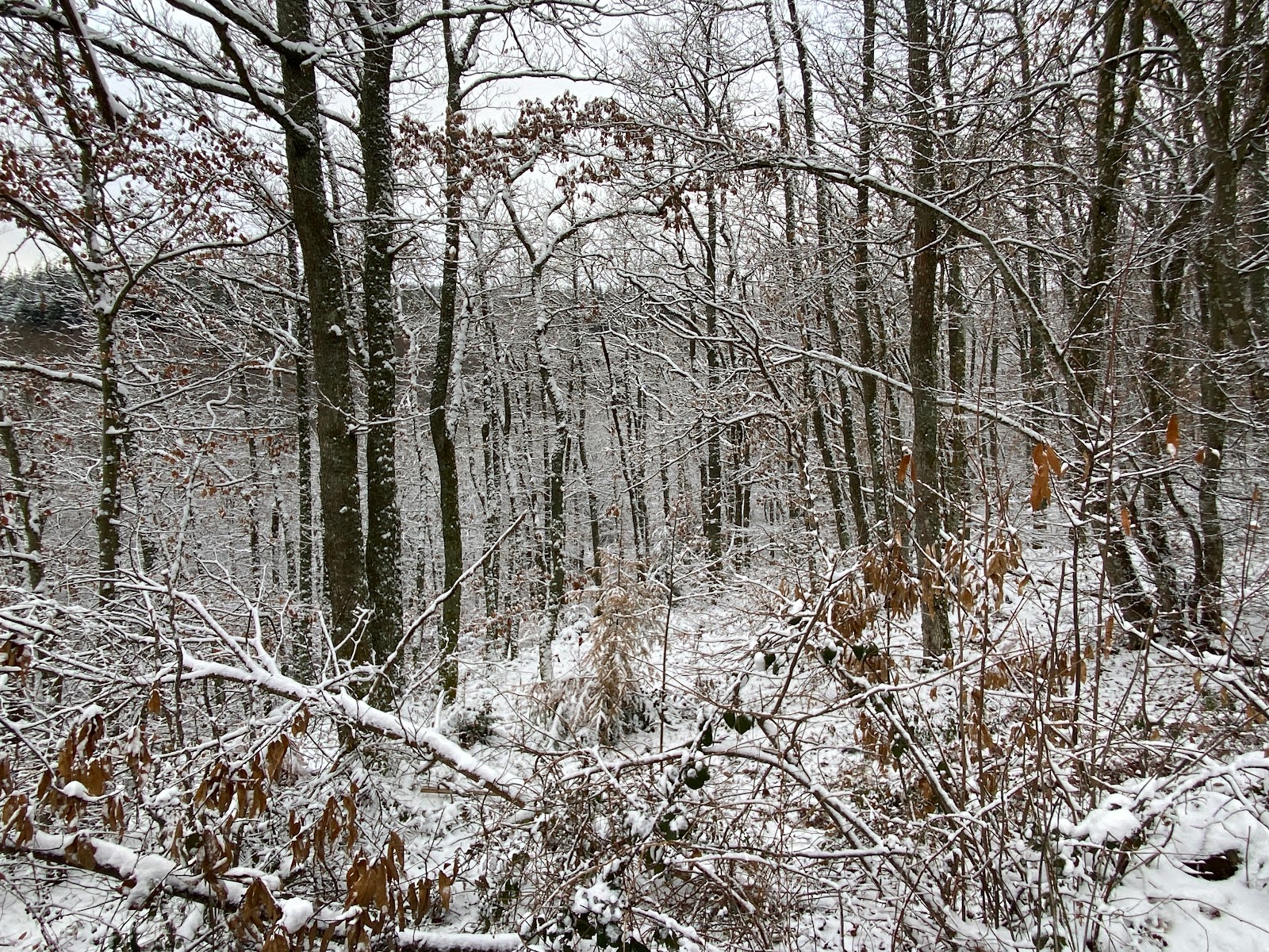 Photo 3 de Col de la Luère