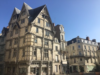 Photo 5 de Cathédrale Saint-Maurice d'Angers
