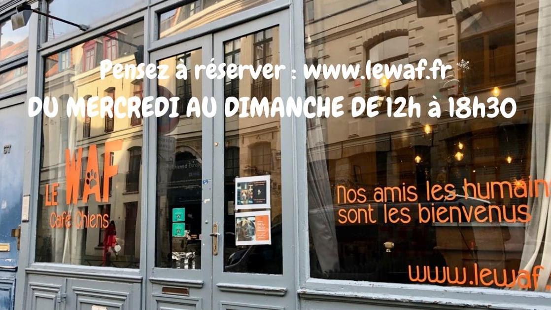 Photo 1 de Le Waf