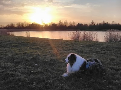 Lac d'armbouts cappel