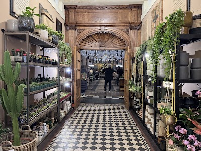 Photo 2 de Mercato Mayfair