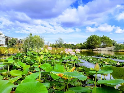 Photo 2 de Jardin Botanique