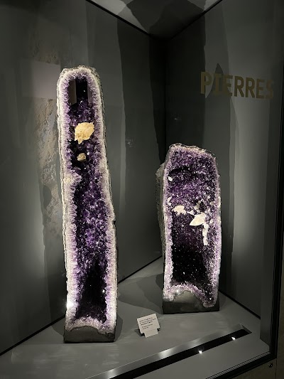 Photo 4 of Muséum de Toulouse