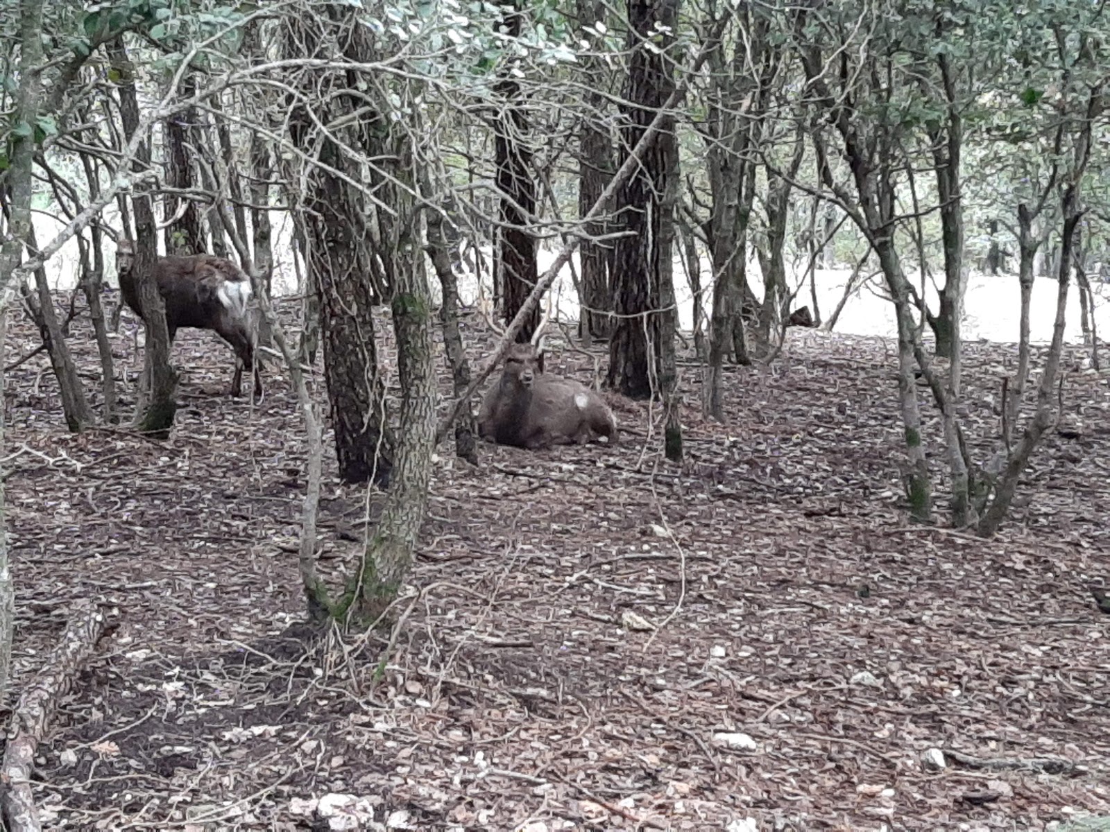 Photo 2 de Parc de Coulondres