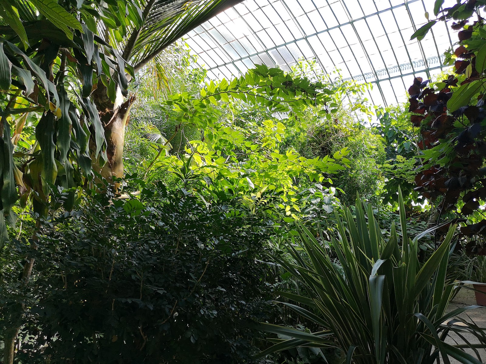 Photo 4 de Jardin des Serres d'Auteuil