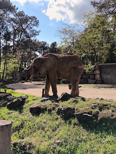 Photo 3 de Zoo de La Flèche
