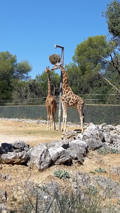 Zoo de Montpellier