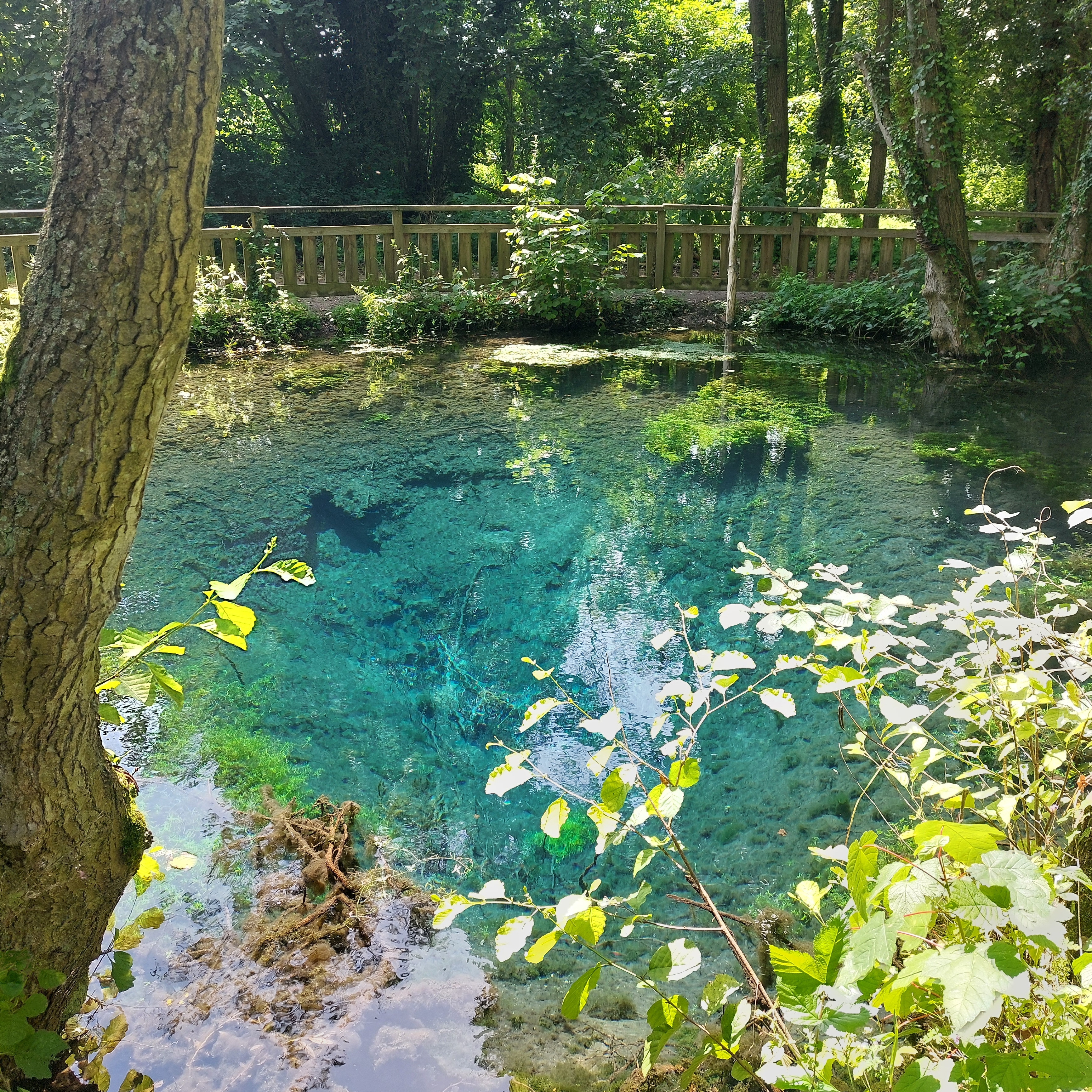Photo 1 de Parc de La Bouvaque