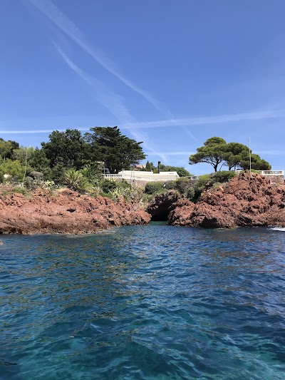 Photo 4 de Île des Vieilles