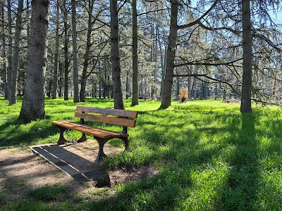 Photo 2 de Parc de Parilly