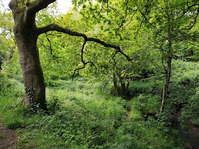 Photo 2 de Bois de la Brasserie