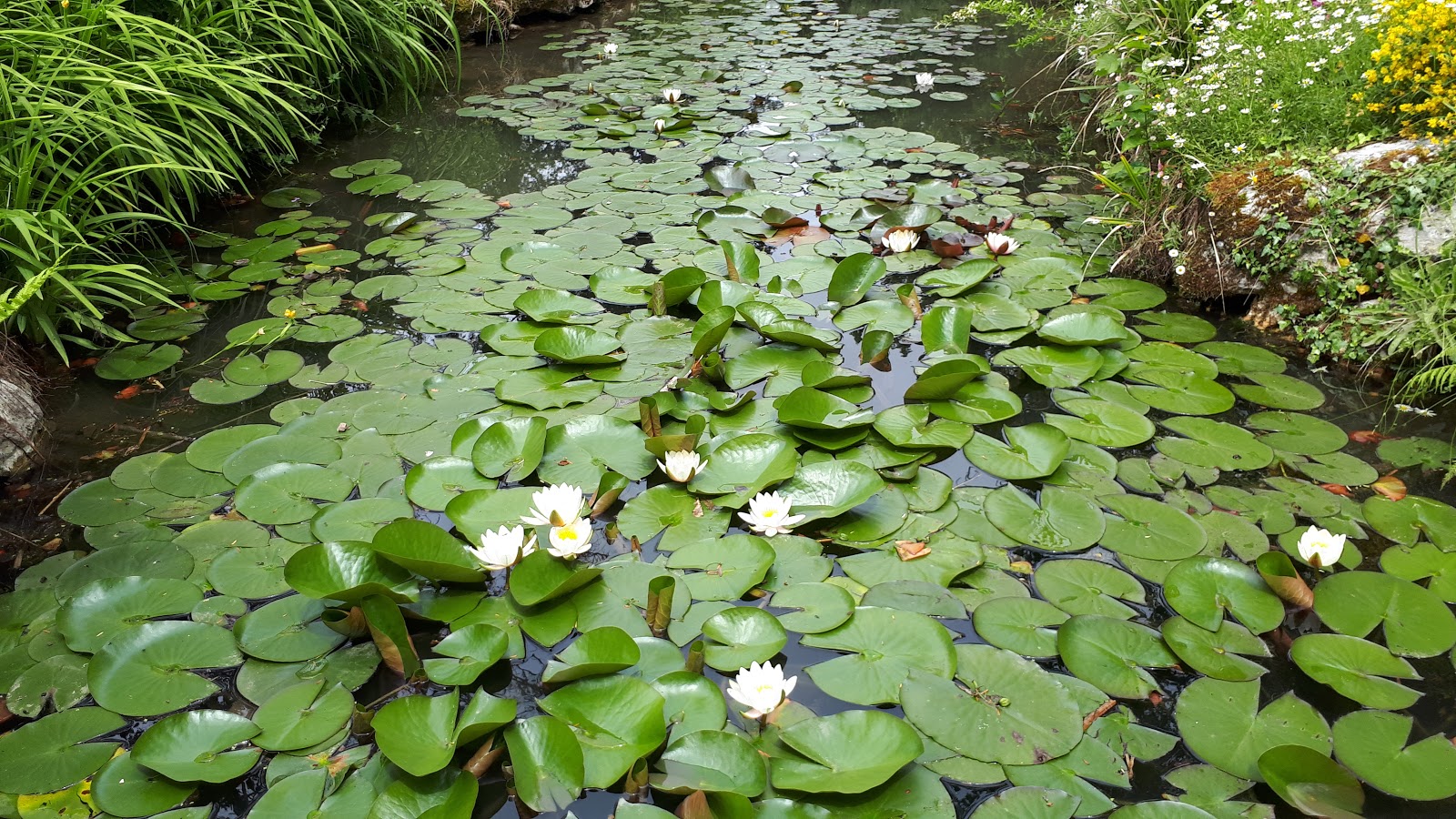 Photo 3 de Théâtre de Verdure