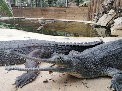 Photo 3 de Biotropica, les jardins animaliers