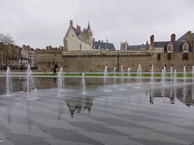 Photo 1 de Miroir d'eau