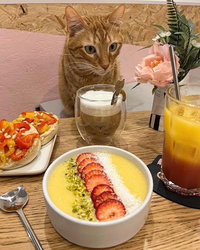 Photo 3 de Meow Cats Café - Cats & Coffee (+10 ans uniquement)