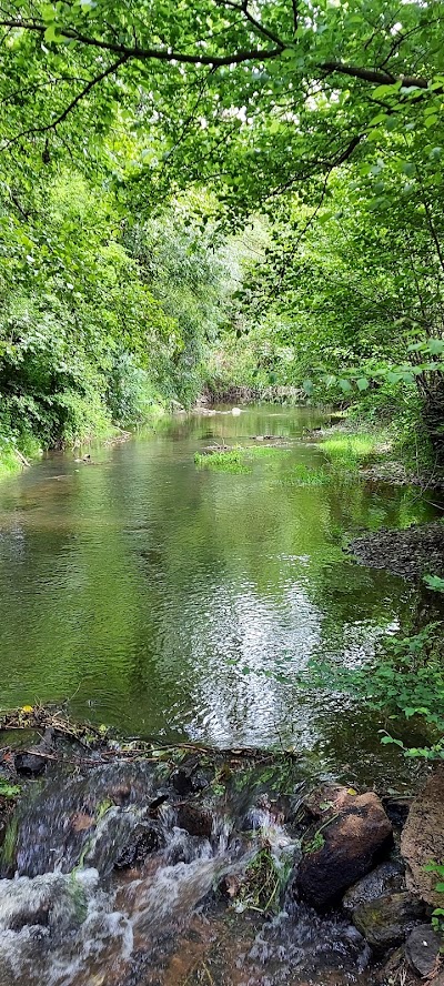 Photo 2 de Parc de la Filée