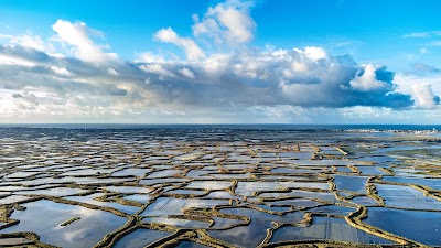 Photo 3 de Marais Salants de Guérande